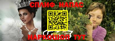 стафф Заводоуковск