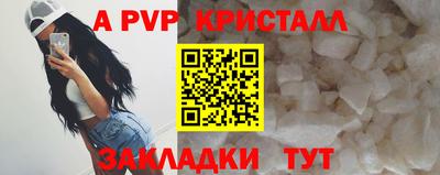 стафф Заводоуковск