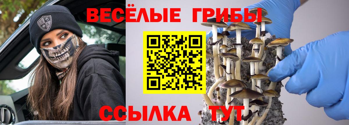 Магадан  Галлюциногенные грибы Psilocybe  Вход с VPN 